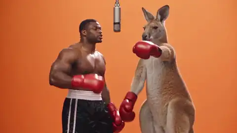 Hotel Lobby AI video of a boxer and a kangaroo in boxing gloves